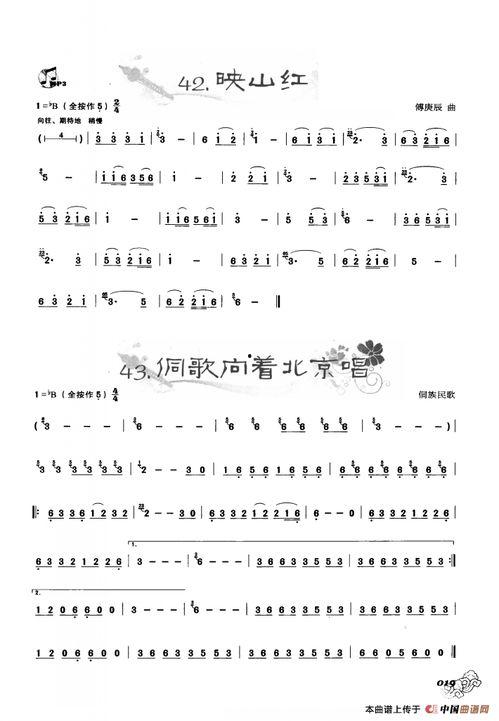 葫芦丝映山红视频,民族风情与自然美景的完美融合