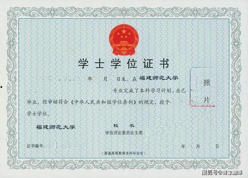 学士学位英语视频,深度解析英语学习策略与技巧